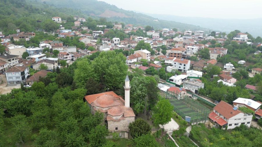 babasultan koyu 2229160 GKvfbv