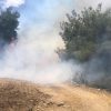 adana yangin aa 2241006 l84KM1