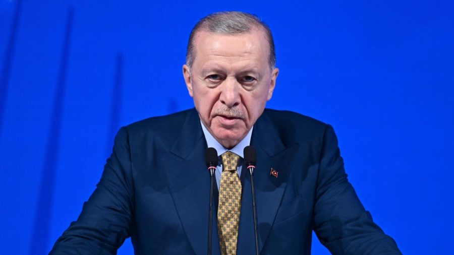erdogan 2240287 VM3AYs