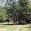 park 2241257 YgWx3k