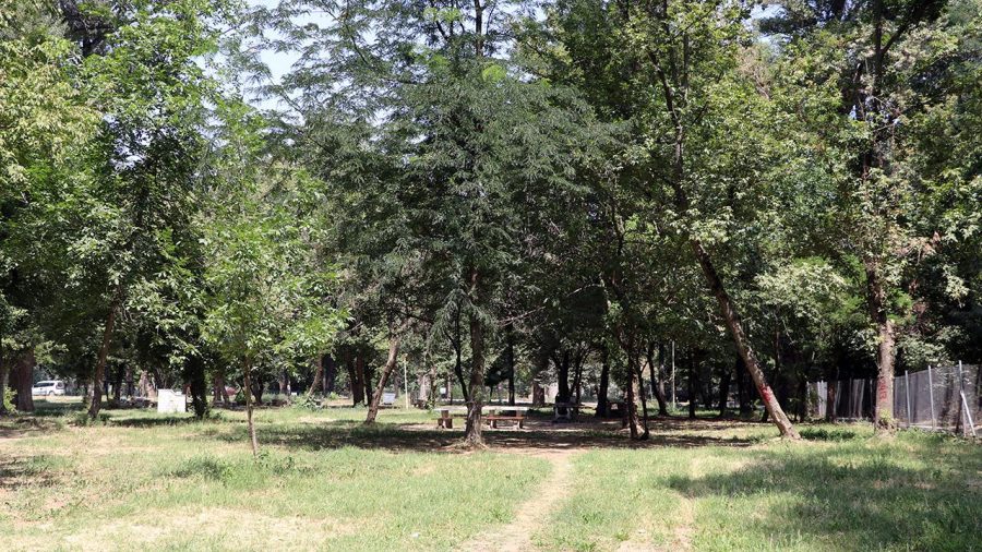 park 2241257 YgWx3k