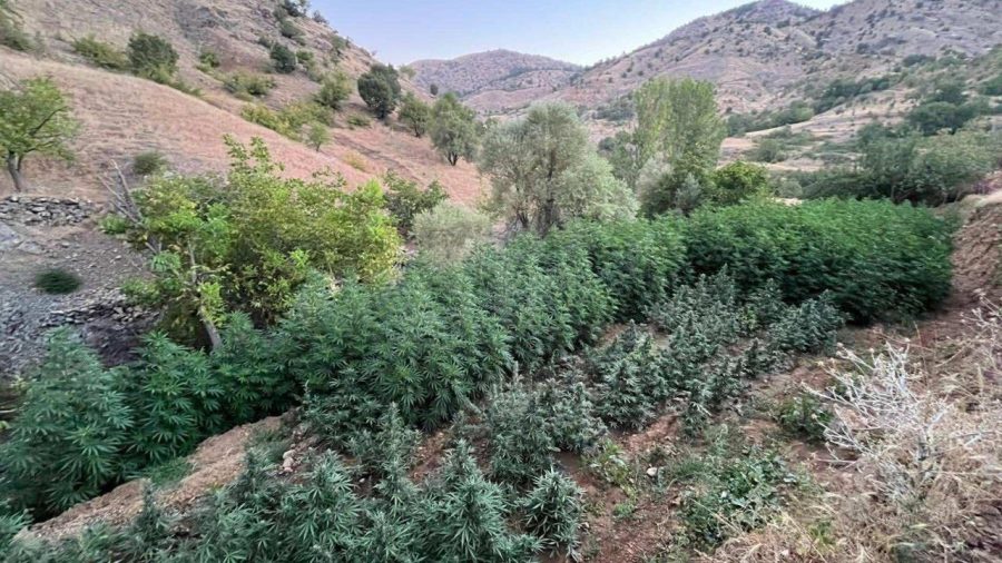 diyarbakir uyusturucu aa 2265417 D6inn6