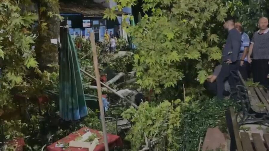 izmir agac devrilditrt haber 2271029 px3jUu