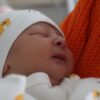 bebek stok aa 2148315 BYpQVf