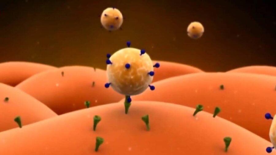 virus 1829702 wUrLBK
