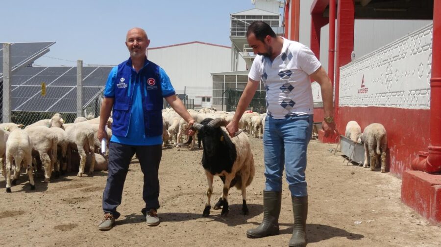 erdogan bagis 2368397 LvgXPD