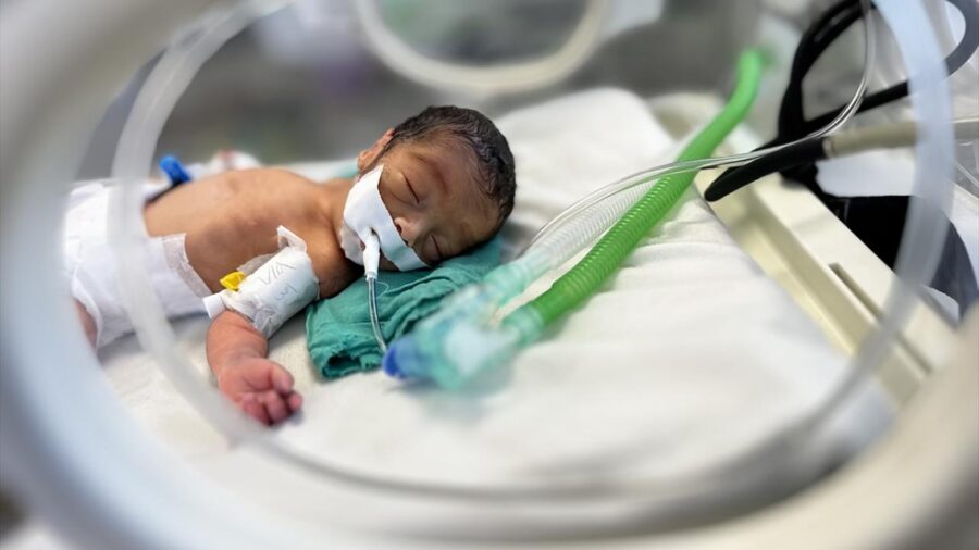 gazze premature bebek a 2372948 vIvNAq