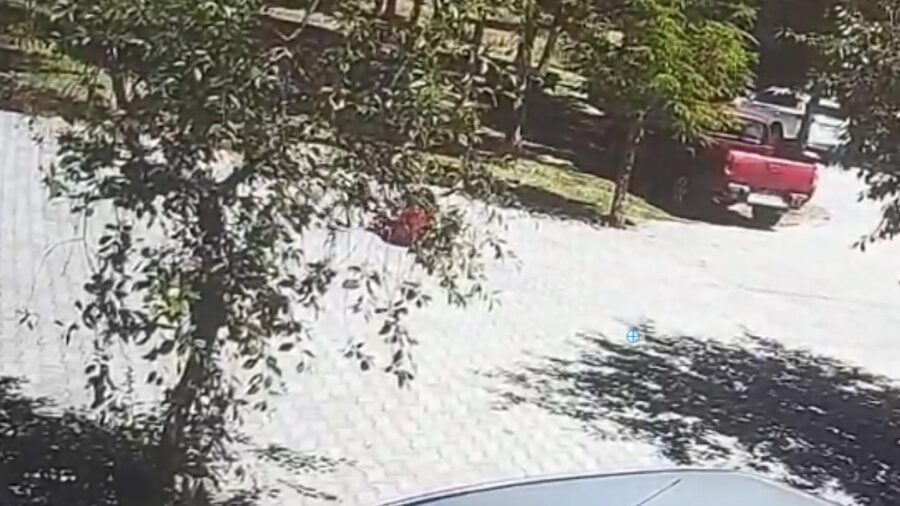 kopek saldirisi aa 2373272 8oMXEU