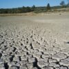 kuraklik canakkale iha 2087780 nAUaGN