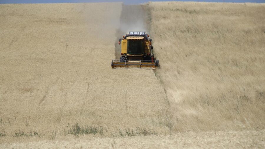 İstanbul Valiliği’nden yangınlarla ilgili yeni önlem agri tarla a 2262970 dBxpUR