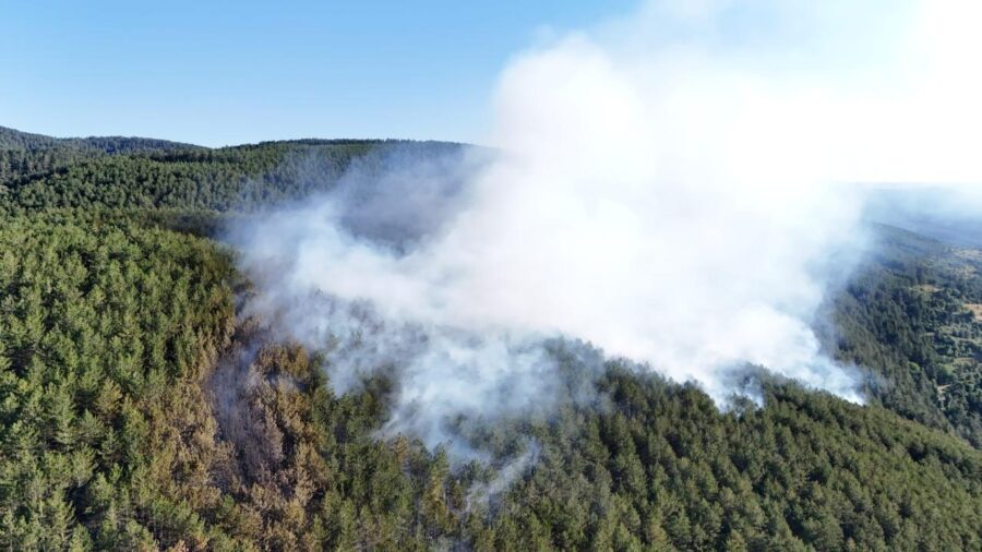 ilgaz aa 2377419 FFQxoy