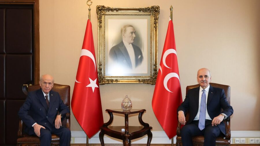 kurtulmus bahceli 2364976 2q6jl3