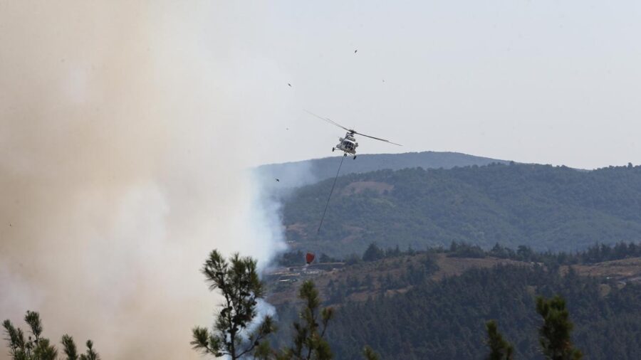 orman yanginiaa 2384302 XZo2P5