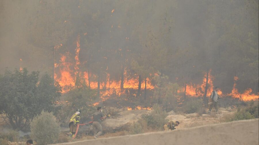 Uşak’ta çıkan orman yangını büyük ölçüde kontrol altına alındı yangin aa 2384201 ZHBjIA