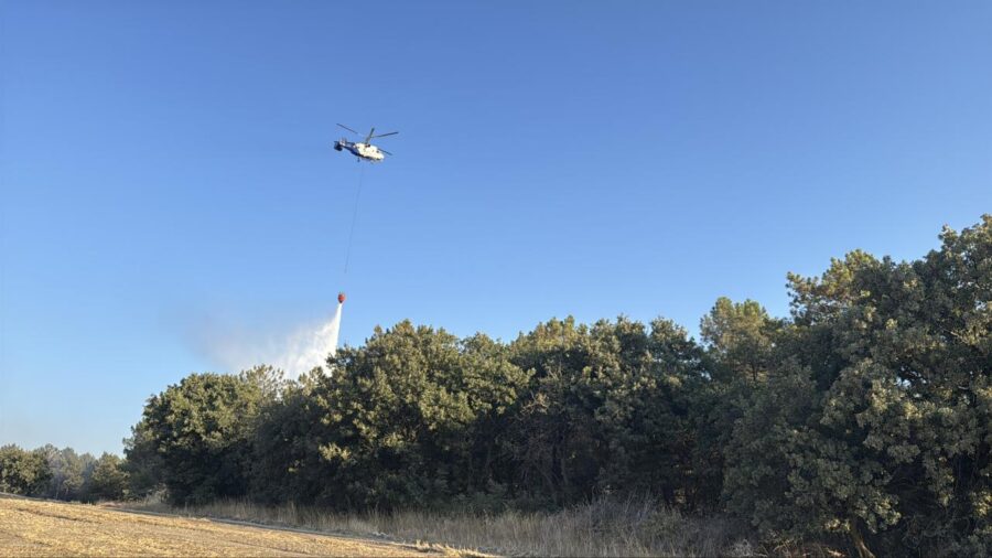 orman yangini 2388008 keskEM