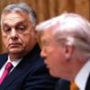 What Hungary’s Orban did – and didn’t – get from Trump 173f2ff0 bca8 11f0 9886 b3acf9644cc5 fAPlNn