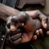 Nigeria blames jihadist groups for wave of kidnappings but others accuse criminal gangs a95cf030 cc47 11f0 a892 01d657345866 vCOO1l