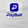 paybull 2419378 BvxAlN