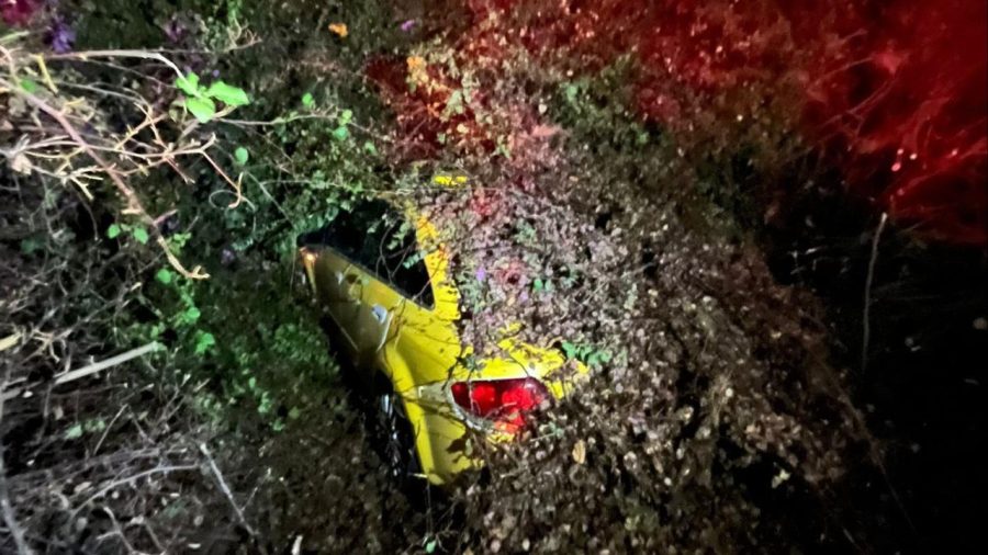 Mersin’de seyir halindeki taksinin üzerine ağaç devrildi taksi devrilen agac iha 2422666 x4f7Xh